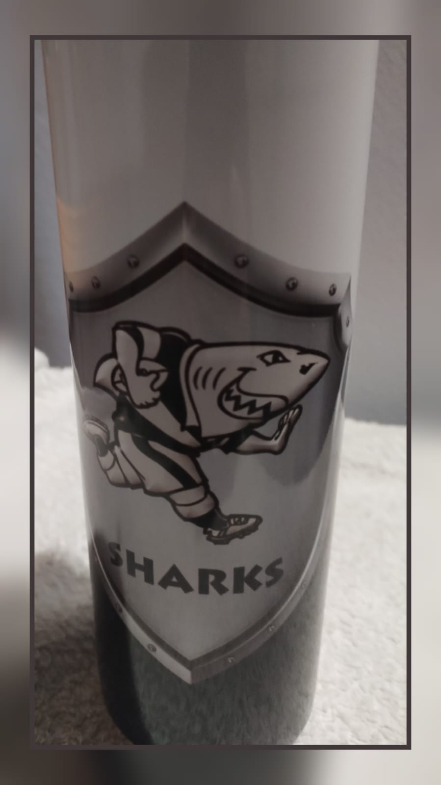 Insulated SA Rugby Supporter Tumblers with Straw
