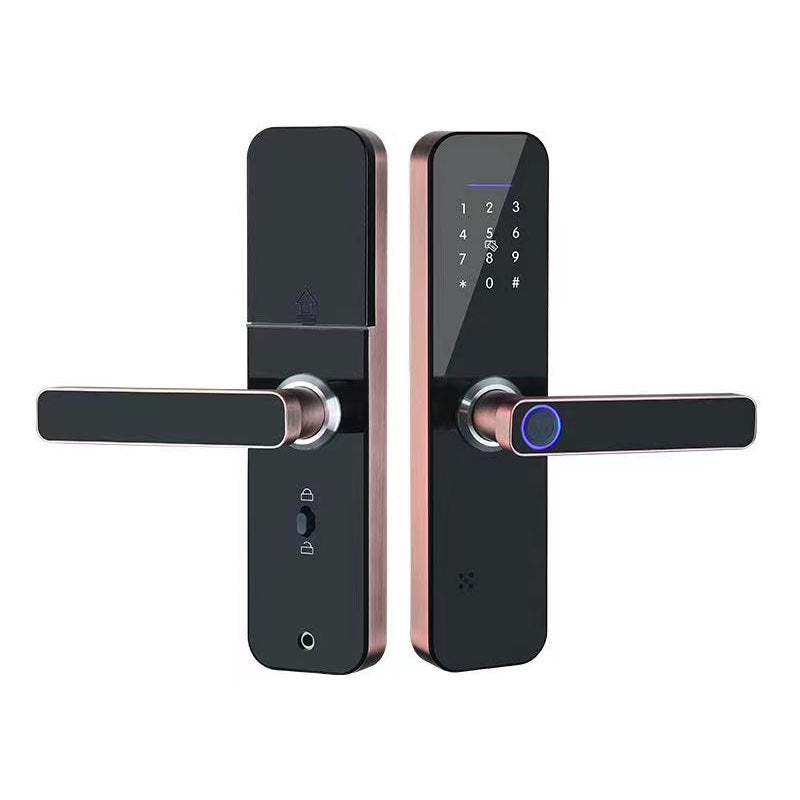 Apartment Office Wooden Door Fingerprint WiFi TTLOCKAPP Electronic Combination Lock