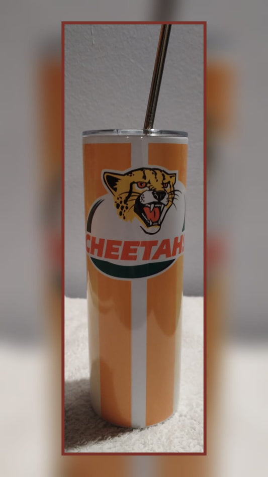 Insulated SA Rugby Supporter Tumblers with Straw